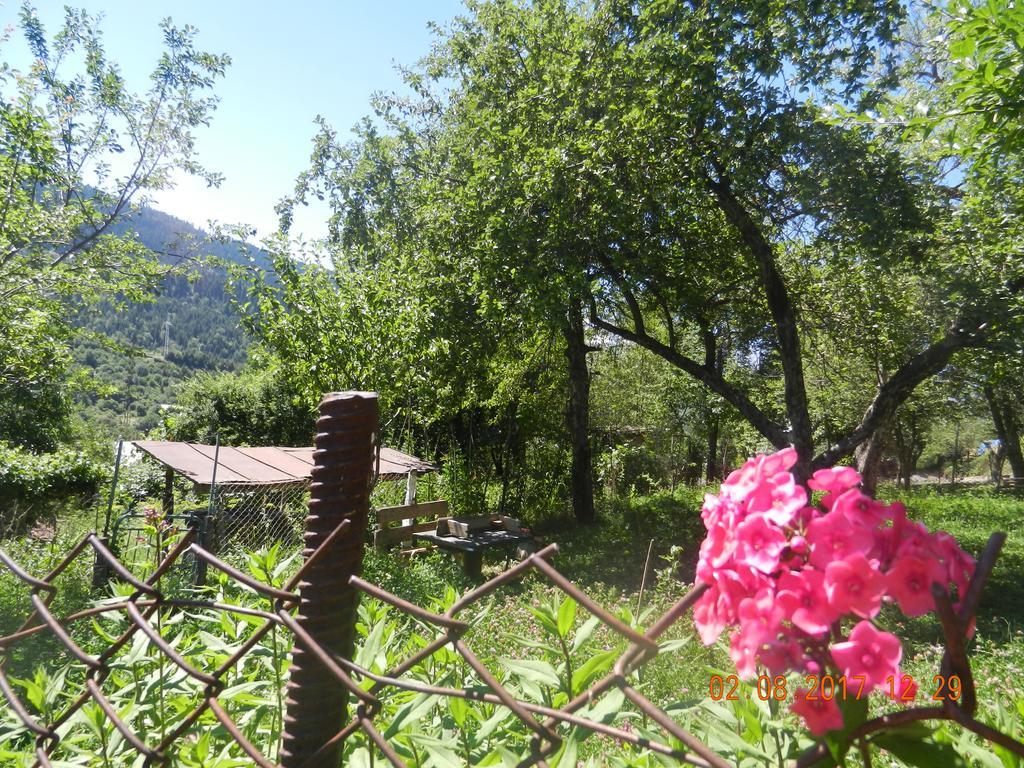 Marina Chartolani'S Guest House Mestia Kültér fotó