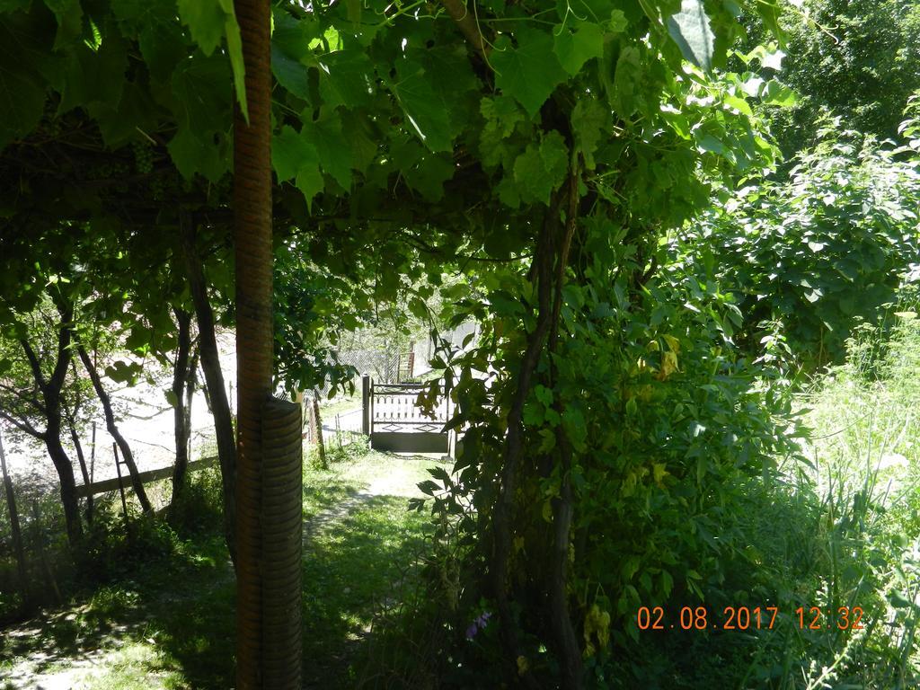 Marina Chartolani'S Guest House Mestia Kültér fotó