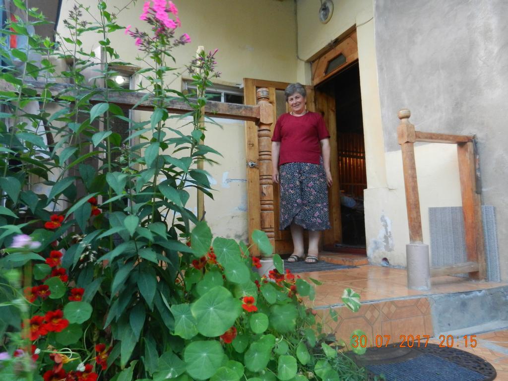 Marina Chartolani'S Guest House Mestia Kültér fotó